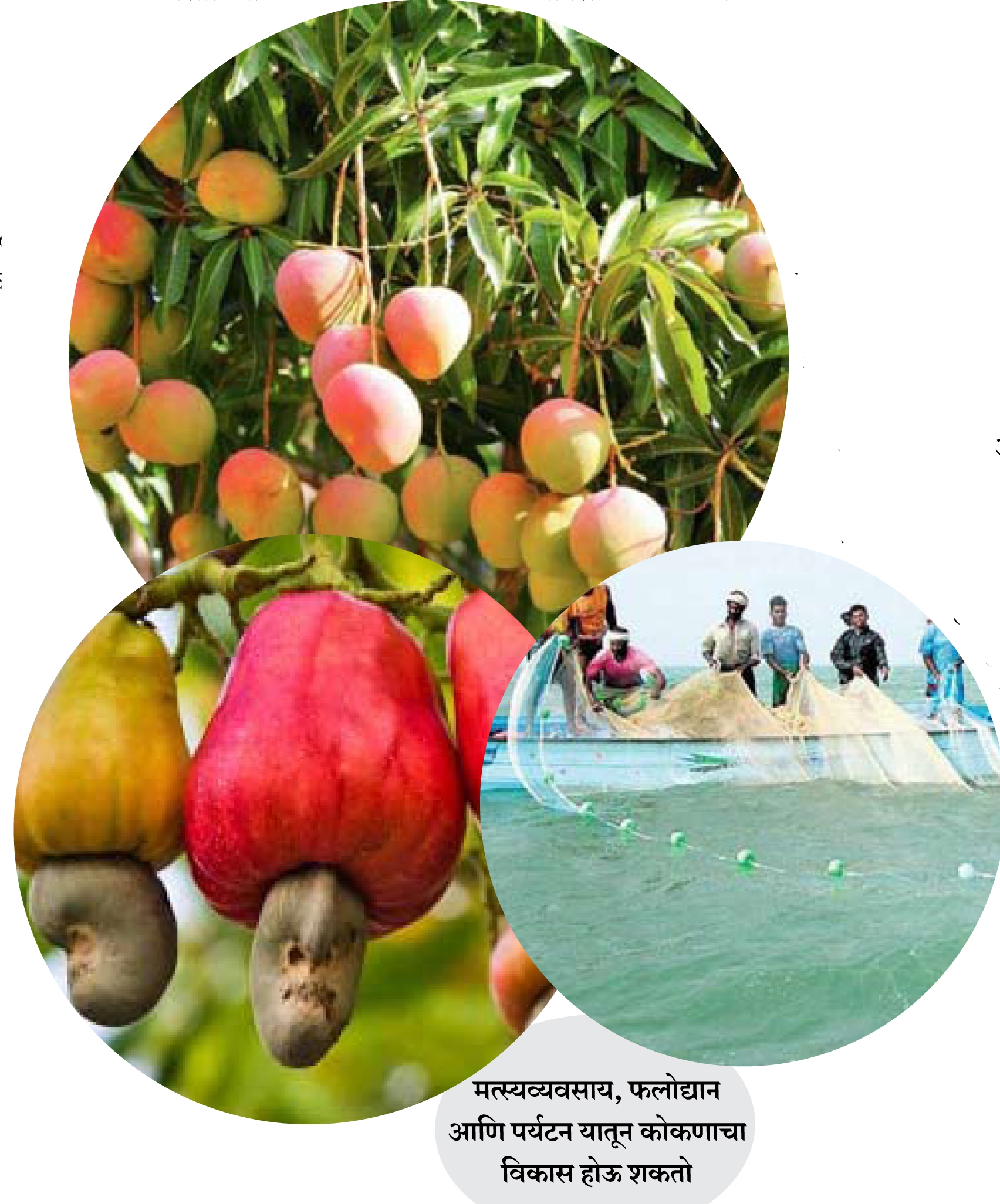 kokan_1&nbsp;&nbsp;H x W: