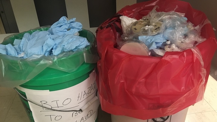 Corona organic waste chal