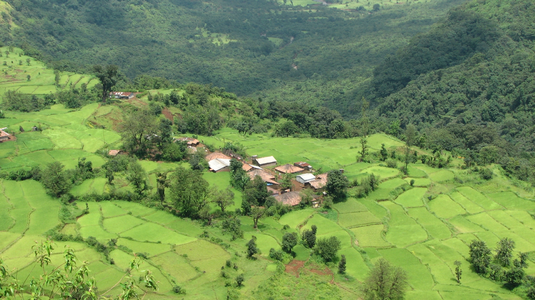 Your role in campus recon Your role in campus recon