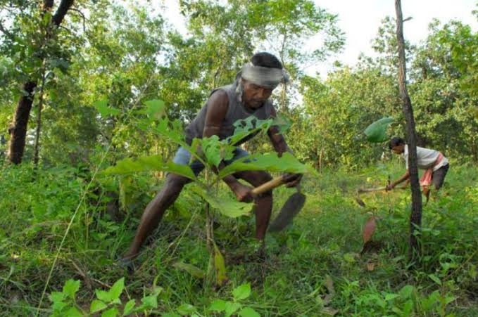 Your role in campus recon