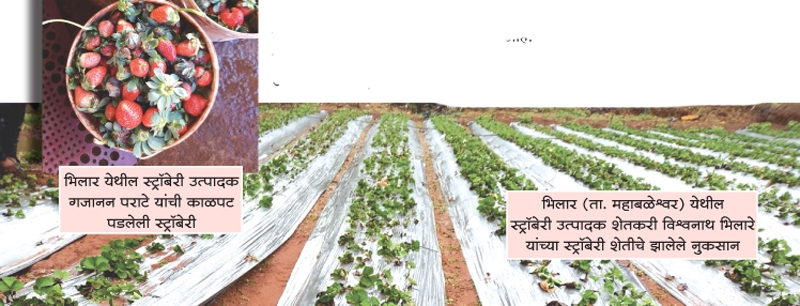 krushi_1 H x W krushi_1 H x W