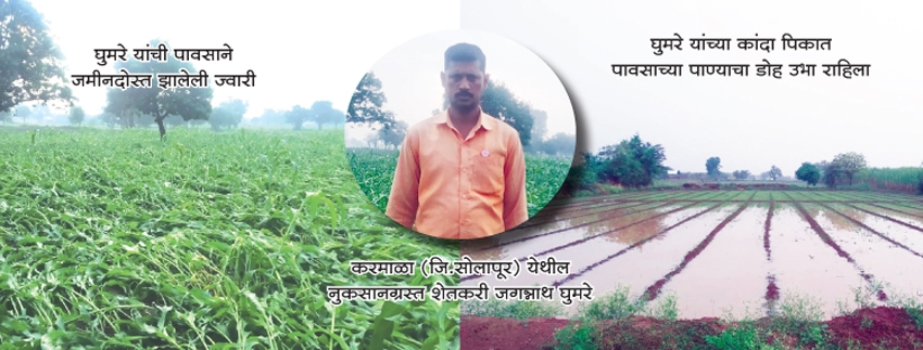 krushi_1 H x W krushi_1 H x W