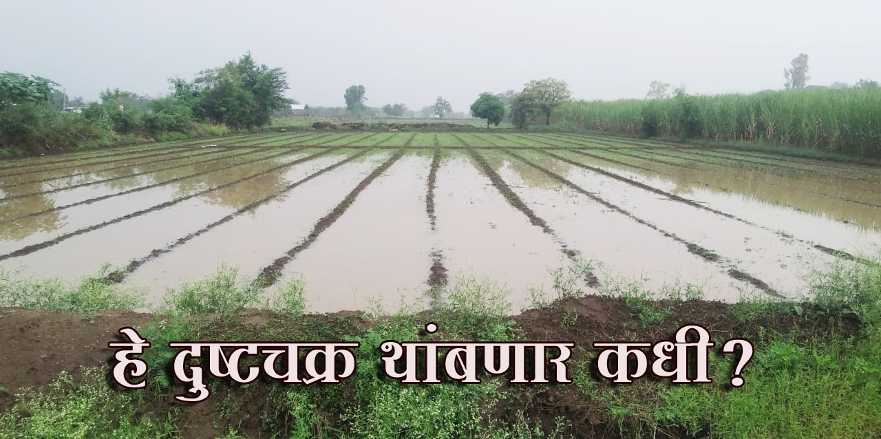 krushi_1 H x W krushi_1 H x W