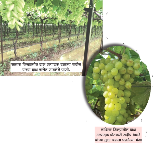 krushi_1 H x W krushi_1 H x W