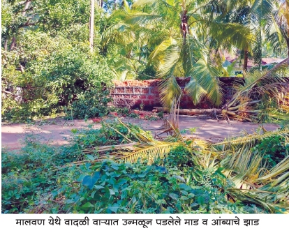 krushi_1 H x W krushi_1 H x W