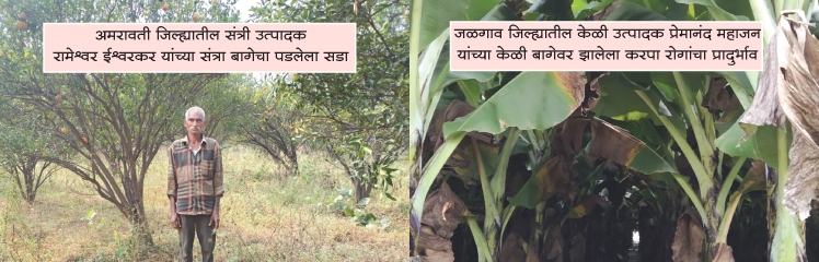 krushi_2 H x W krushi_2 H x W