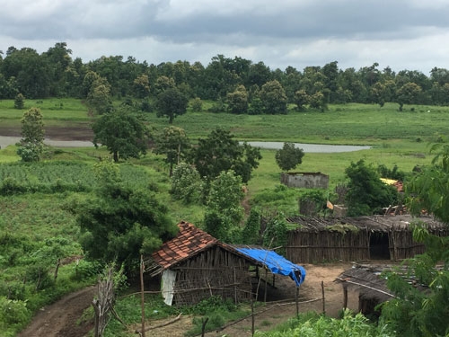 krushi_3 H x W krushi_3 H x W