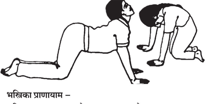 yoga_3 H x W: yoga_3 H x W: