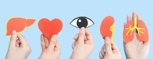 donetion_2 H x donetion_2 H x