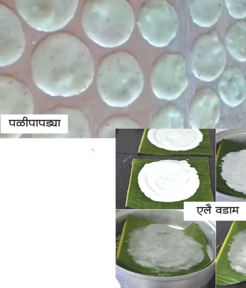 papad_1 H x W: papad_1 H x W: