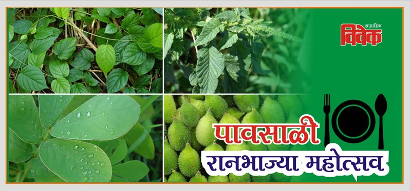 vegetable_1 H vegetable_1 H