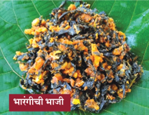 vegetable_1 H vegetable_1 H