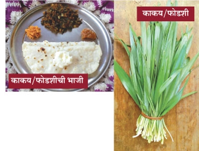 vegetable_1 H vegetable_1 H