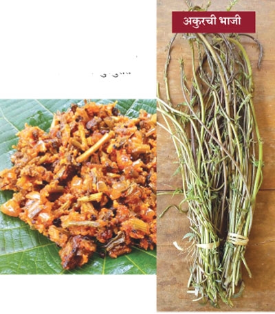 vegetable_1 H vegetable_1 H