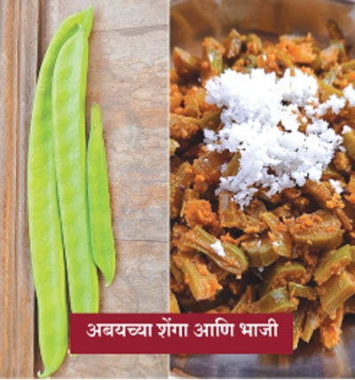 vegetable_2 H vegetable_2 H