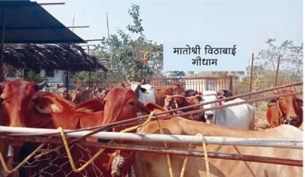 pandharpur pandharpur