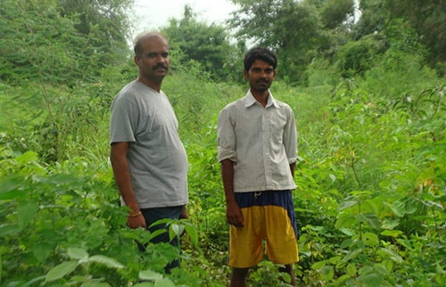 krushivivek