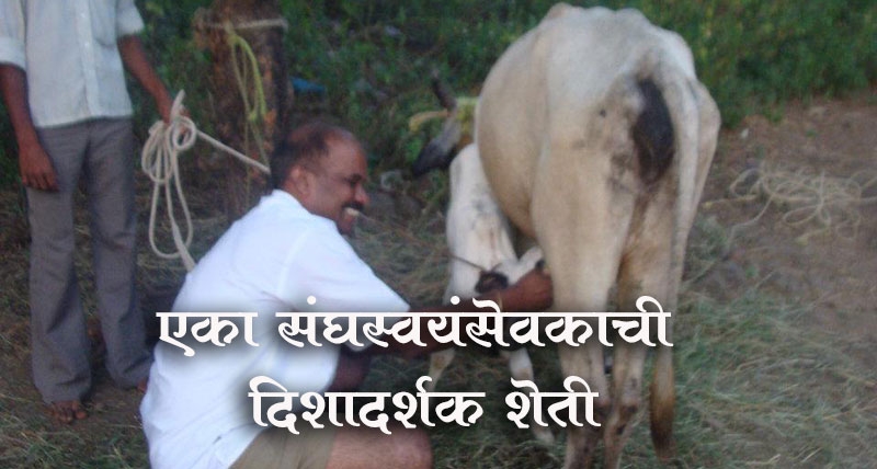 krushivivek