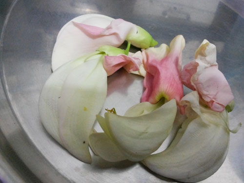 Arogyadayi Ranbhajya 