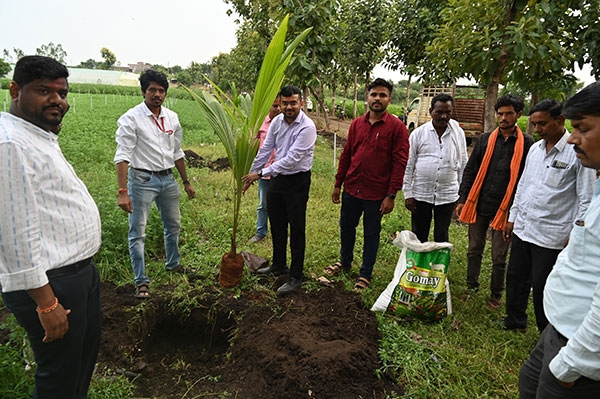 Pitambari Nursery