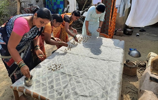 sugarcane workers sugarcane workers