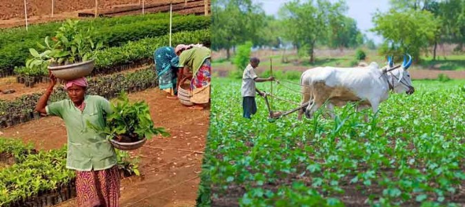 जपावे पर्यावरणाचे आरोग्य