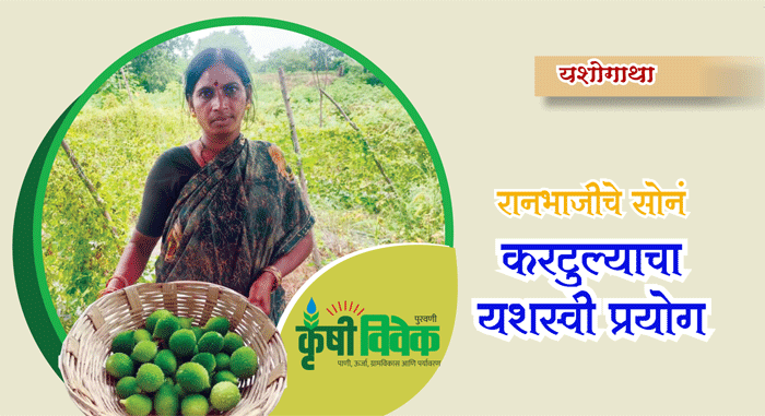 रानभाजीचे सोनं - करटुल्याचा यशस्वी प्रयोग