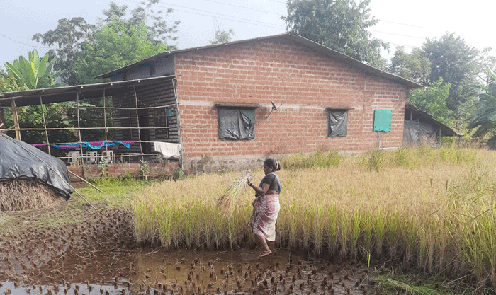 भात  पिकातील  अवशेषांचा  उपयोग