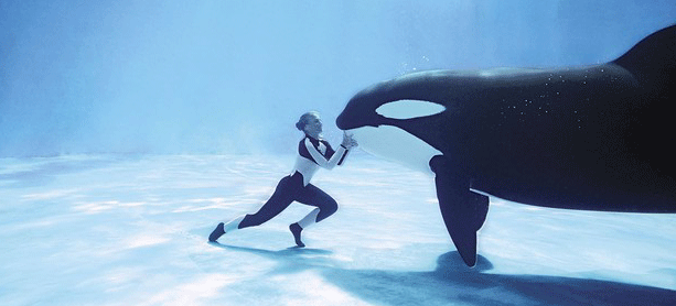 blackfish movie