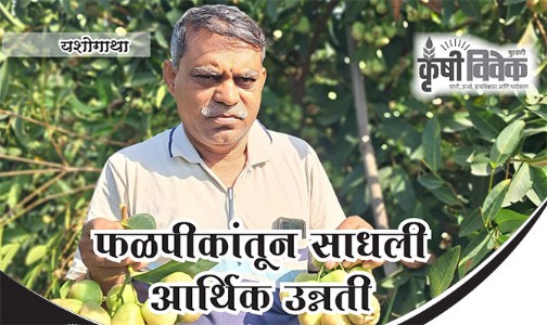 फळपीकांतून साधली आर्थिक उन्नती