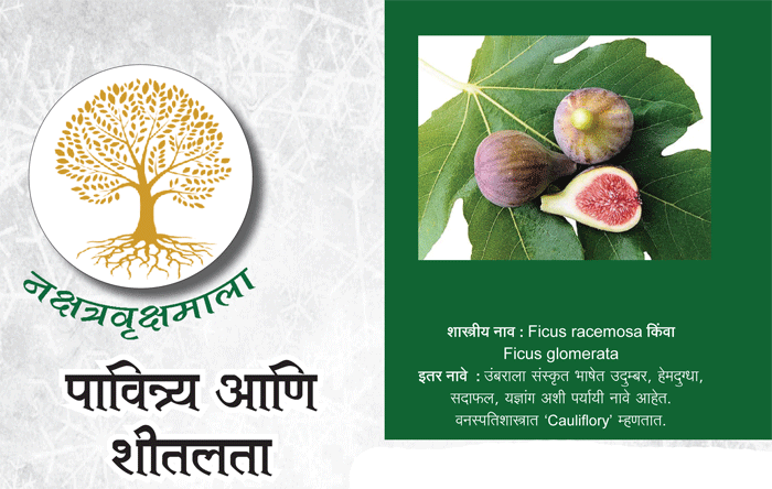 पावित्र्य आणि शीतलता