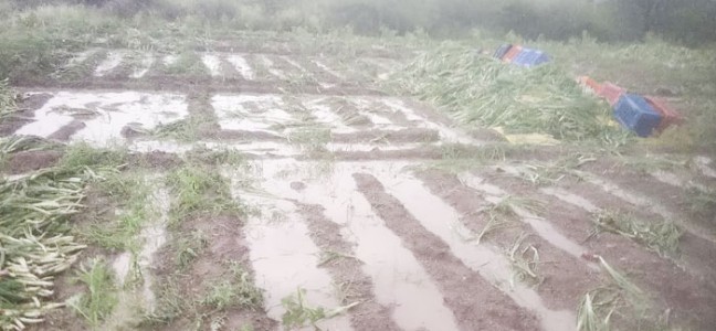 अस्वाभाविक पावसाचा अवेळी तडाखा