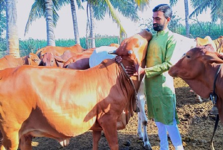 गोआधारित वैदिक शेतीचे यशस्वी मॉडेल