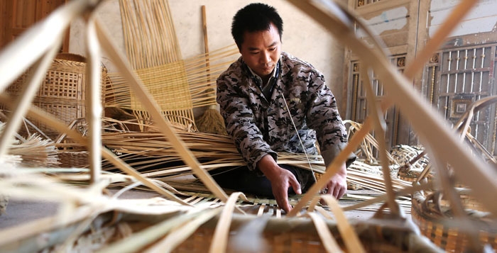 bamboo