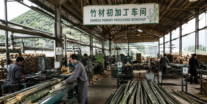 bamboo bamboo