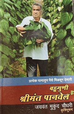 Betel Leaf 