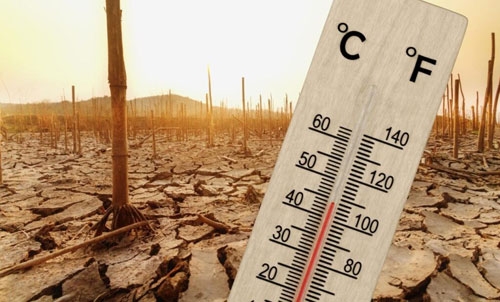 global temperature