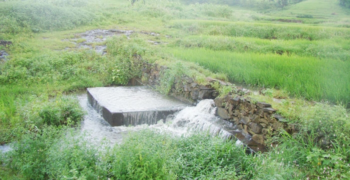 el-nio