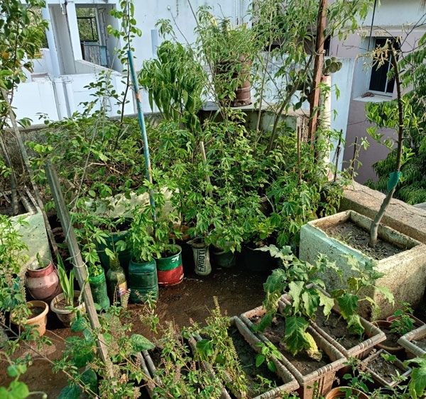 vivek