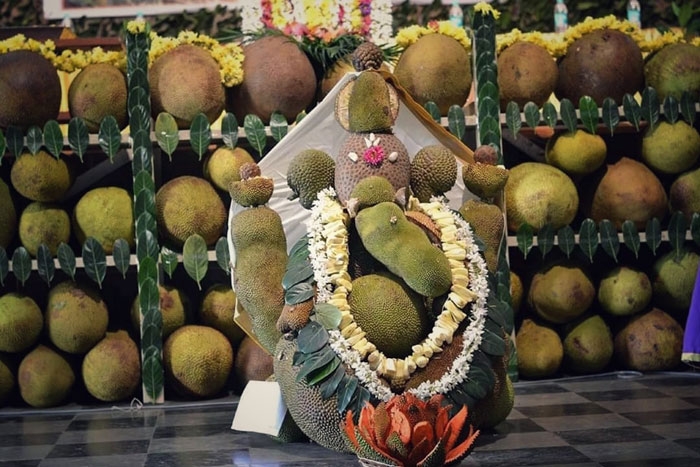 vivek vivek