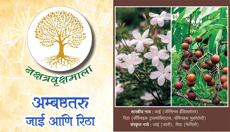 Nakshatra Vriksha