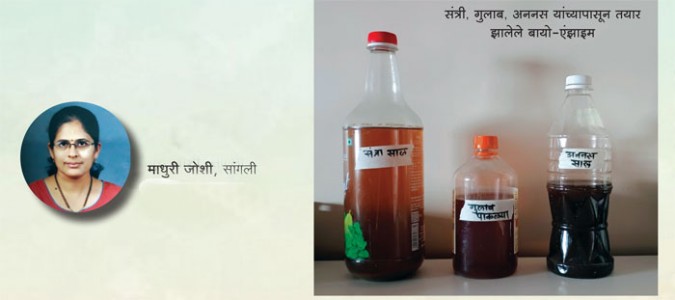 विषमुक्त जीवनशैलीकडे एक पाऊल