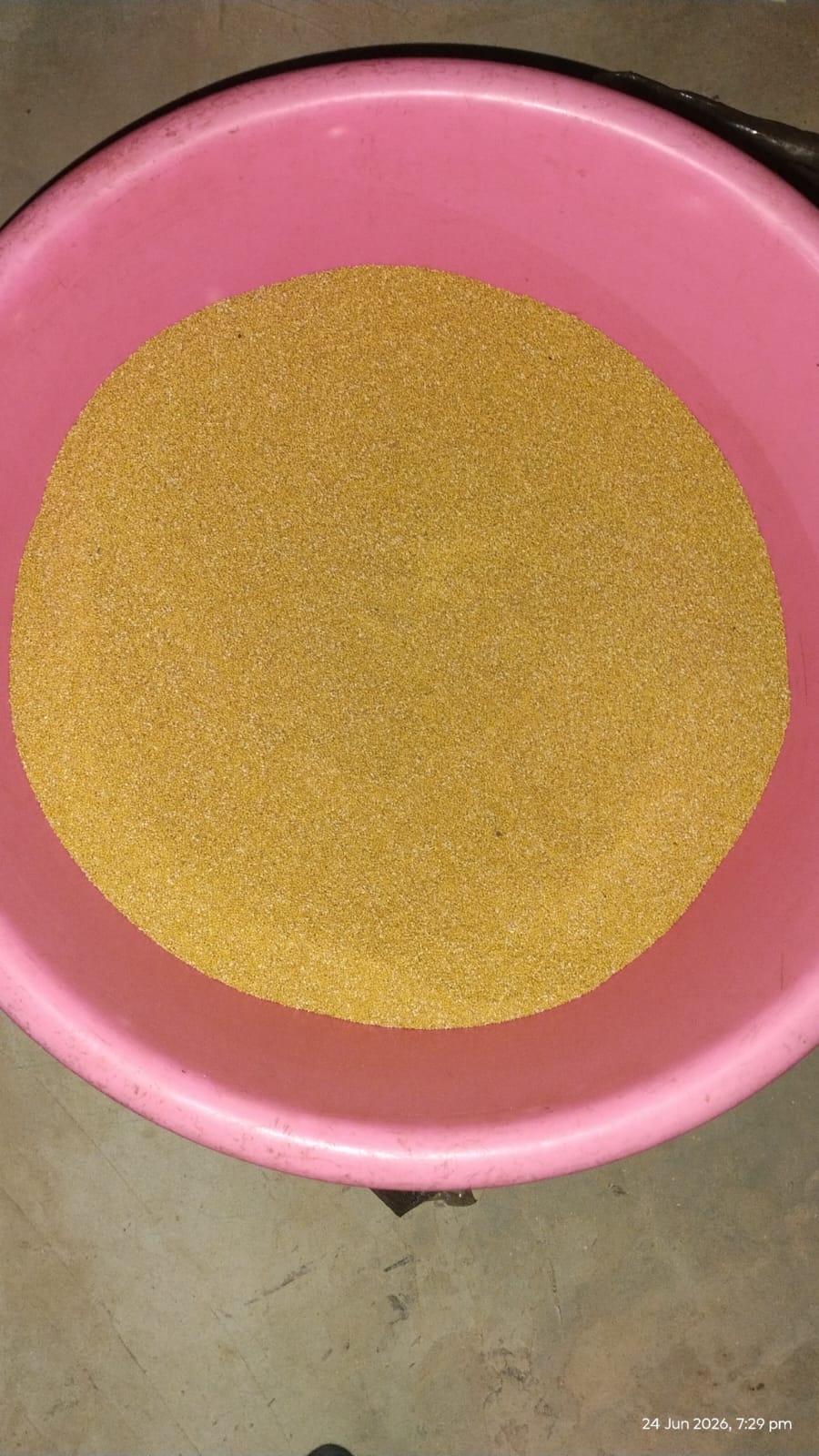 Nandurbarat Maharashtras first tribal millet processing center