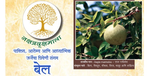 पावित्र्य, आरोग्य आणि आध्यात्मिक ऊर्जेचा त्रिवेणी संगम -बेल