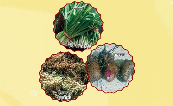 krushivivek