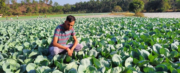 krushivivek
