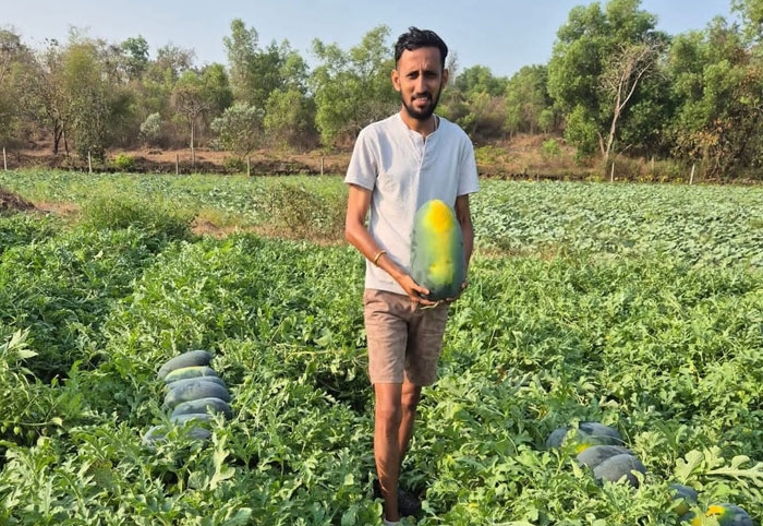 krushivivek