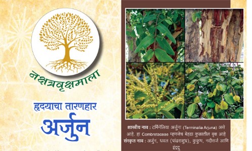 हृदयाचा तारणहार - अर्जुन