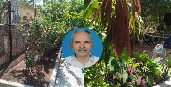 निवृत्तीनंतरची अनोखी पर्यावरण सेवा