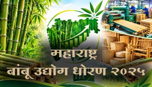 महाराष्ट्र - बांबू उद्योग धोरण 2025